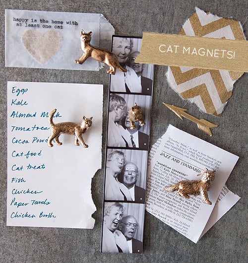 Cat Magnets