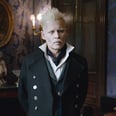 Goodbye, Grindelwald: Johnny Depp Forced to Exit Fantastic Beasts With Role to Be Recast