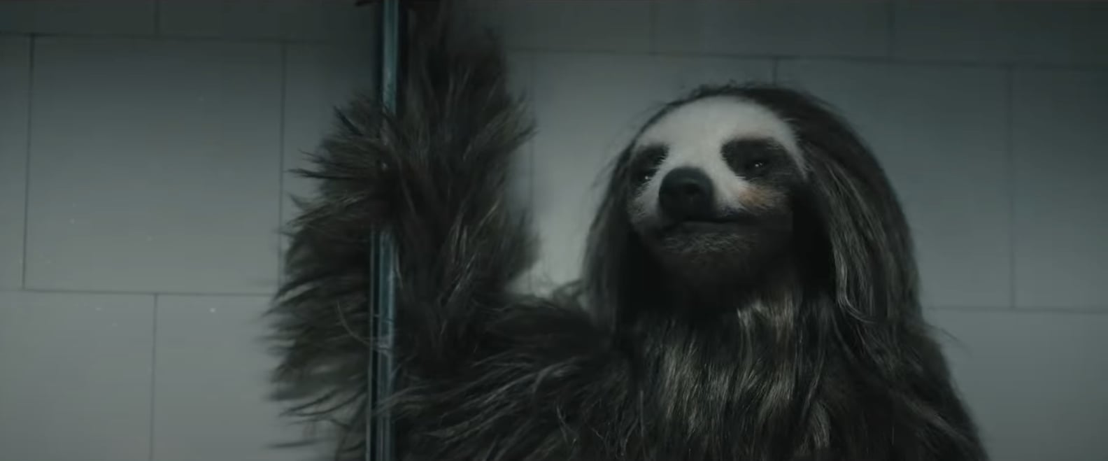 Slotherhouse 2025 Release Date