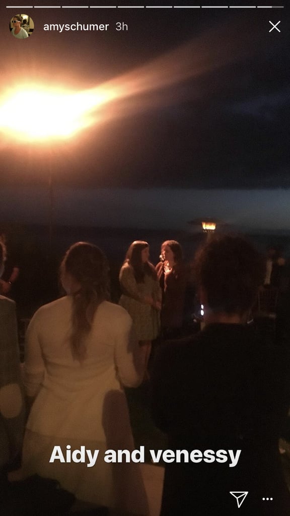 Amy Schumer and Chris Fischer Wedding Pictures