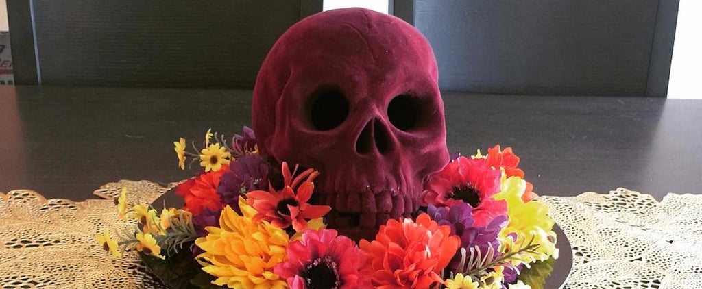 Where to Buy Velvet Skulls For Halloween