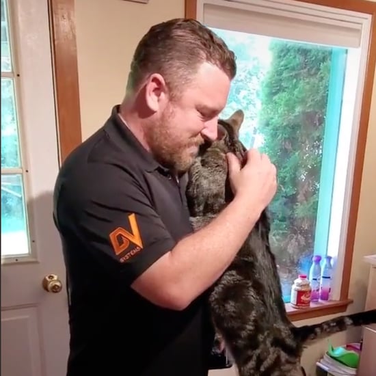 TikTok Video of Cat Jumping Into Man's Arms to Titanic Song