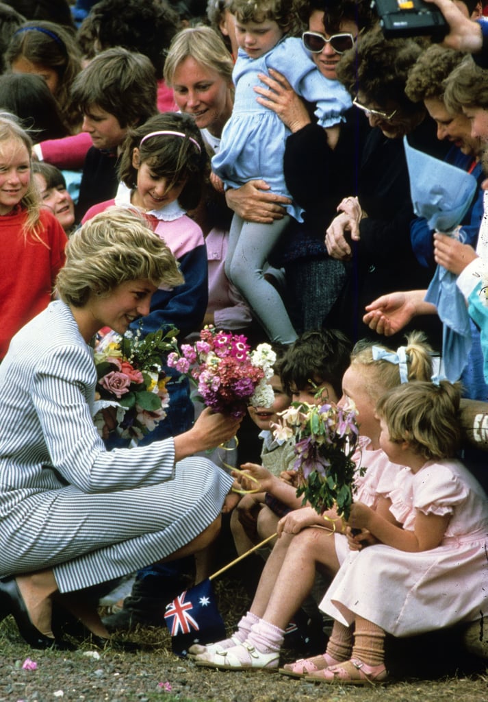 Princess Diana's Hair