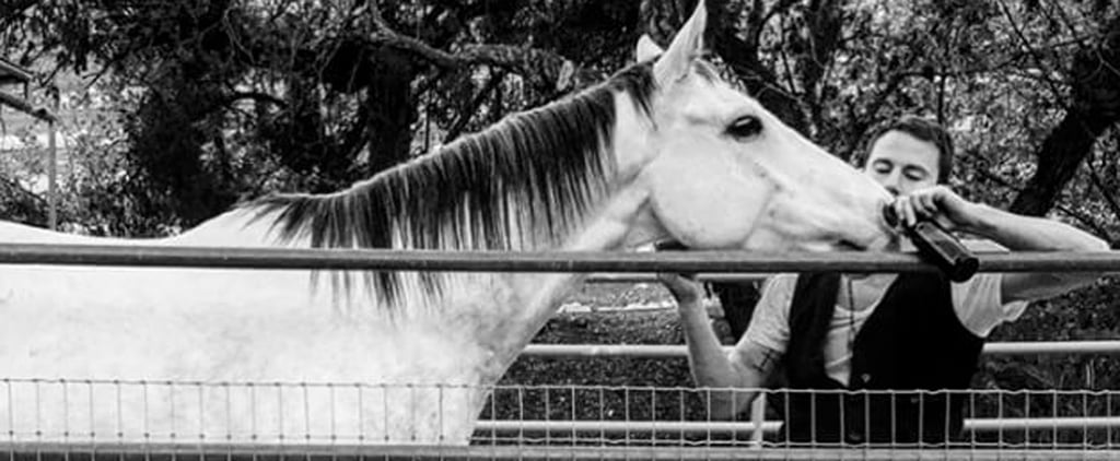 Channing Tatum Posts Picture of His Horse Smoke on Instagram