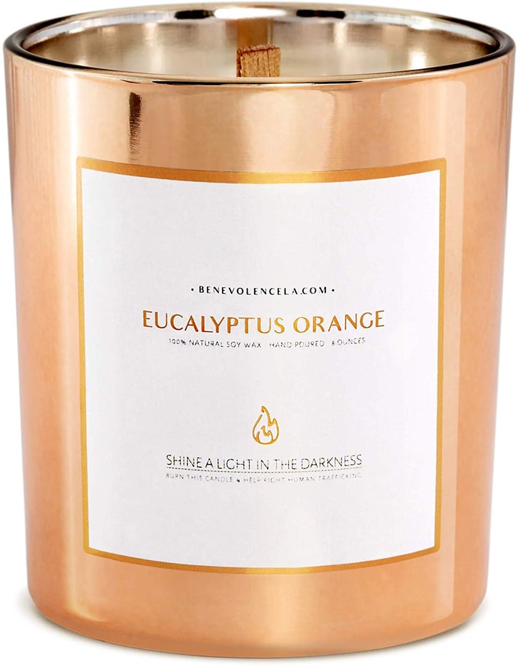 Eucalyptus Orange Benevolence Soy Candle The Best Candles on Amazon