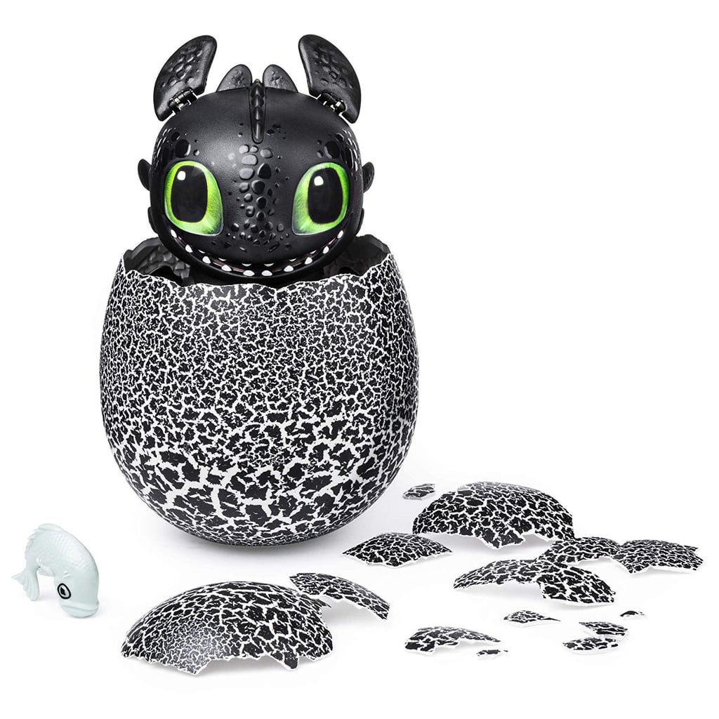 How to Train Your Dragon Hatching Toothless