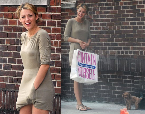 puppy for bag Celebrity  Has An Blake Accident Lively's POPSUGAR Puppy