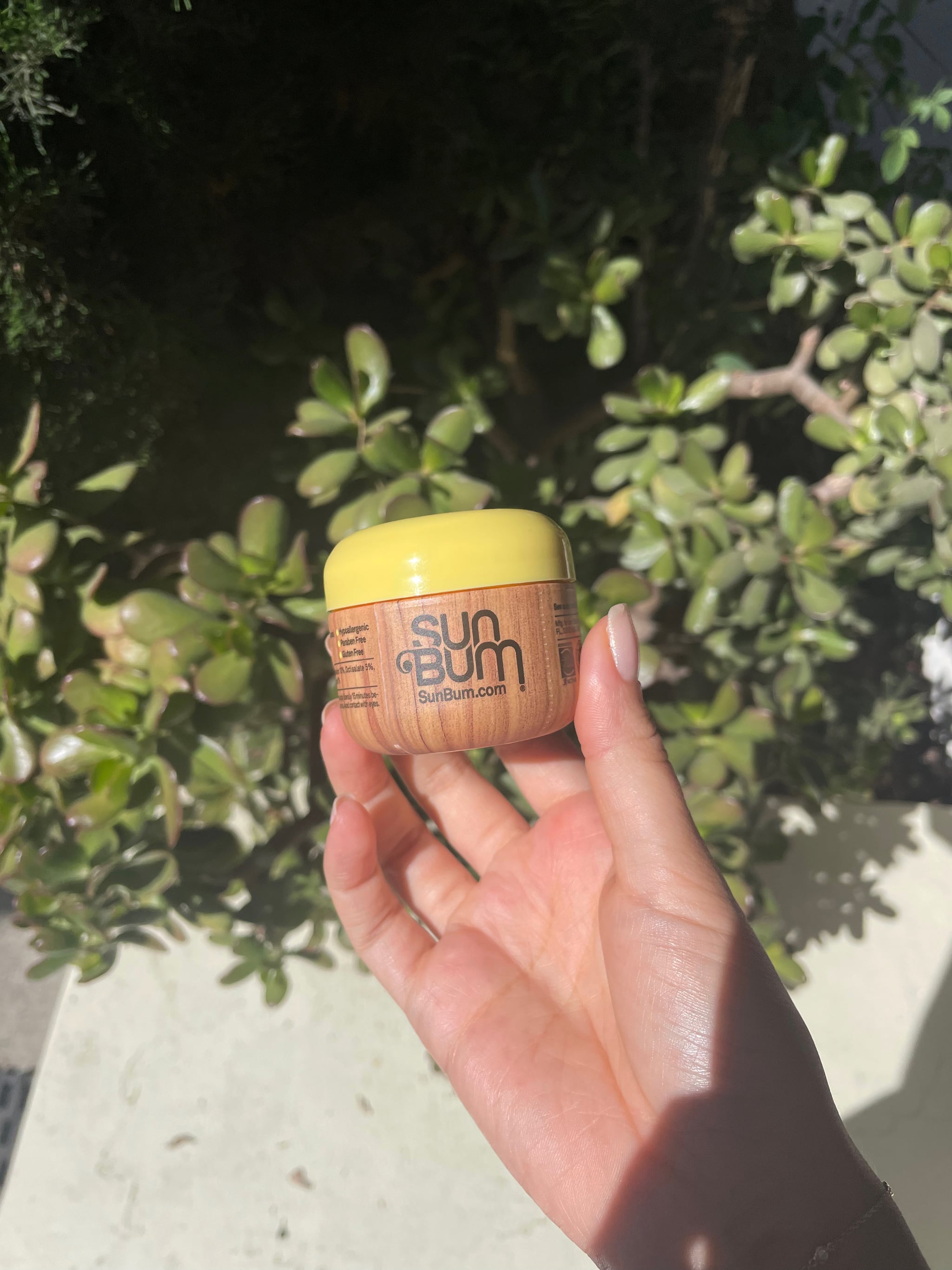 Sunbum Original SPF 50 Clear Lotion Review