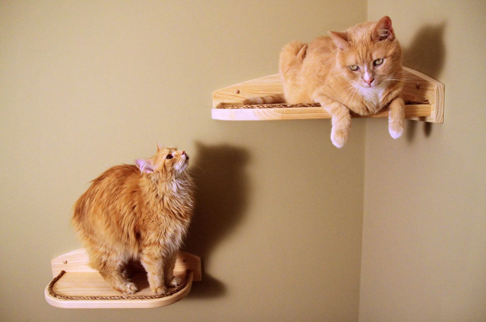 Stylish Pet Furniture POPSUGAR Pets stylish-pet-furniture-popsugar-pets