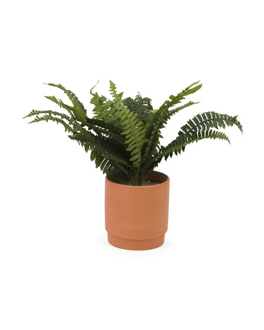 Faux Fern in Terracotta Pot