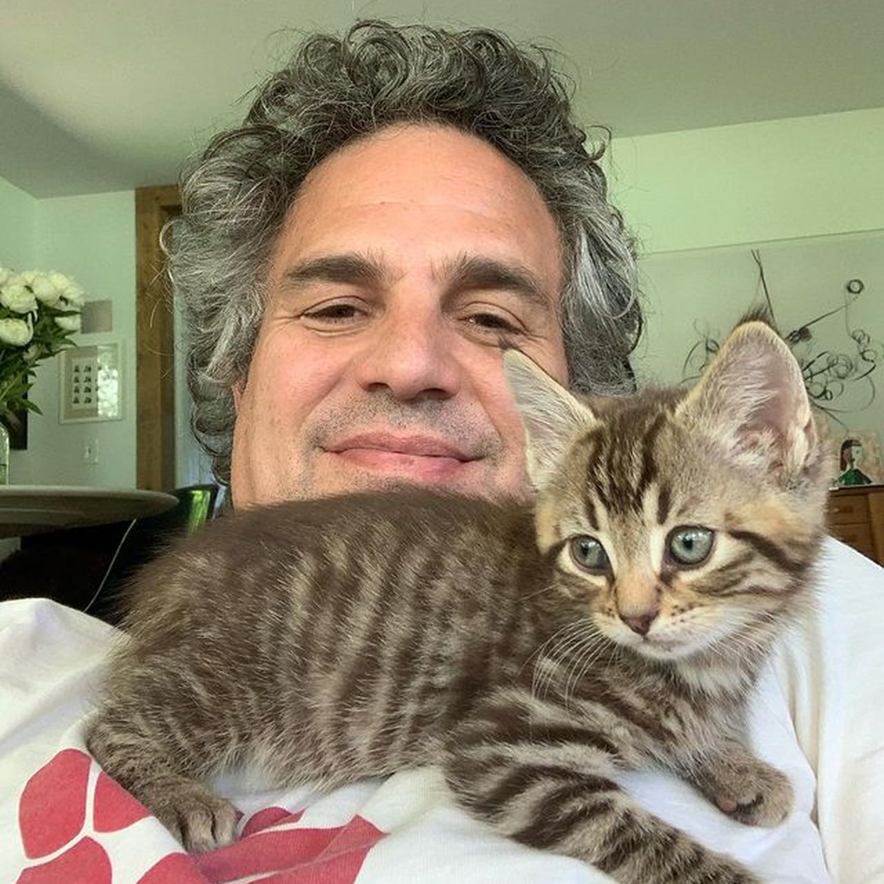 See Mark Ruffalo's Cat Pictures on Instagram PS Pets