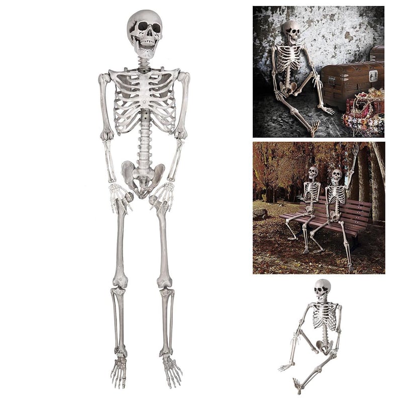 Full Body Skeleton Prop