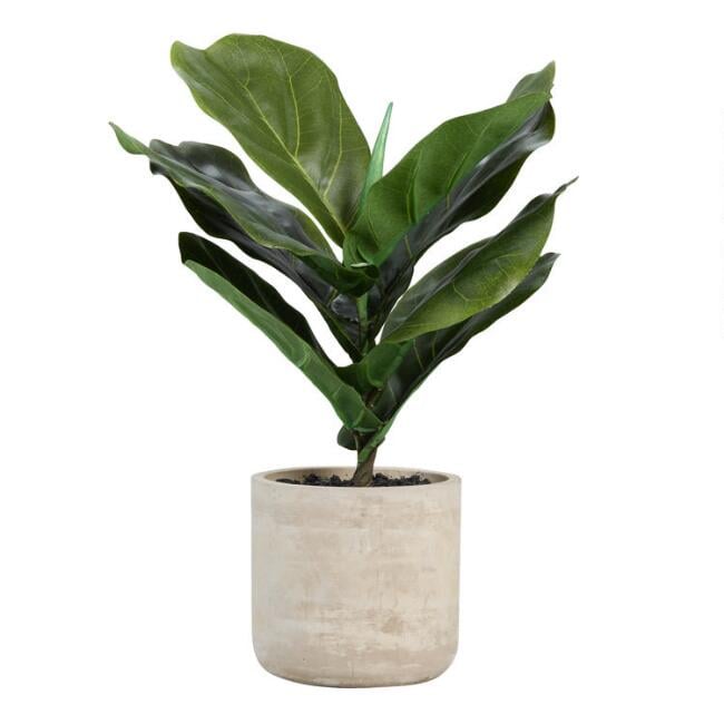 Faux Fiddle Leaf Fig Plant in Cement Pot