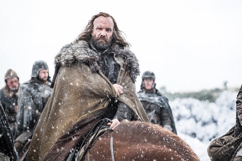 Rory McCann as The Hound