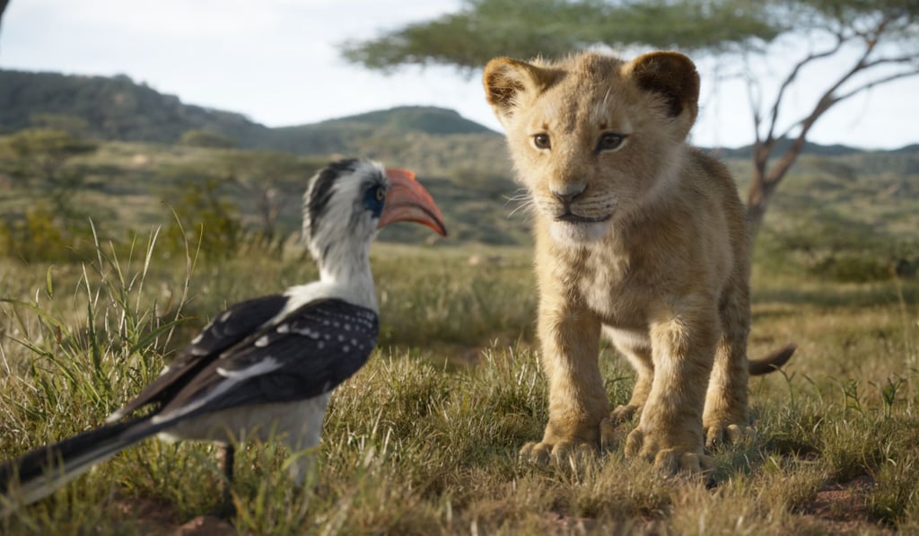 Lion King Cartoon and Live-Action Cast Side-by-Side Photos