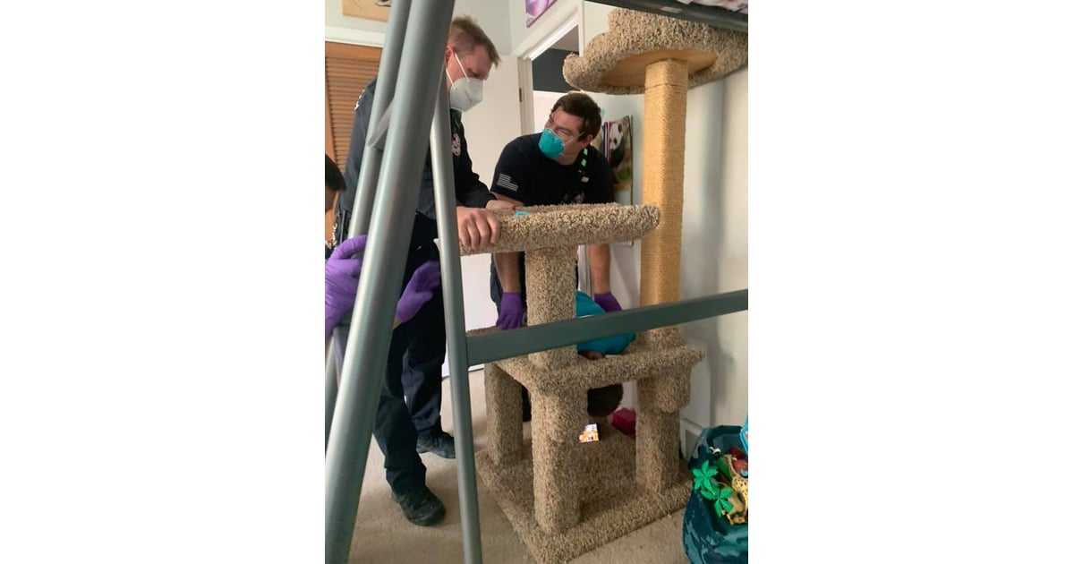 Boy Who Got His Head Stuck in a Cat Tree Funny Photos POPSUGAR UK