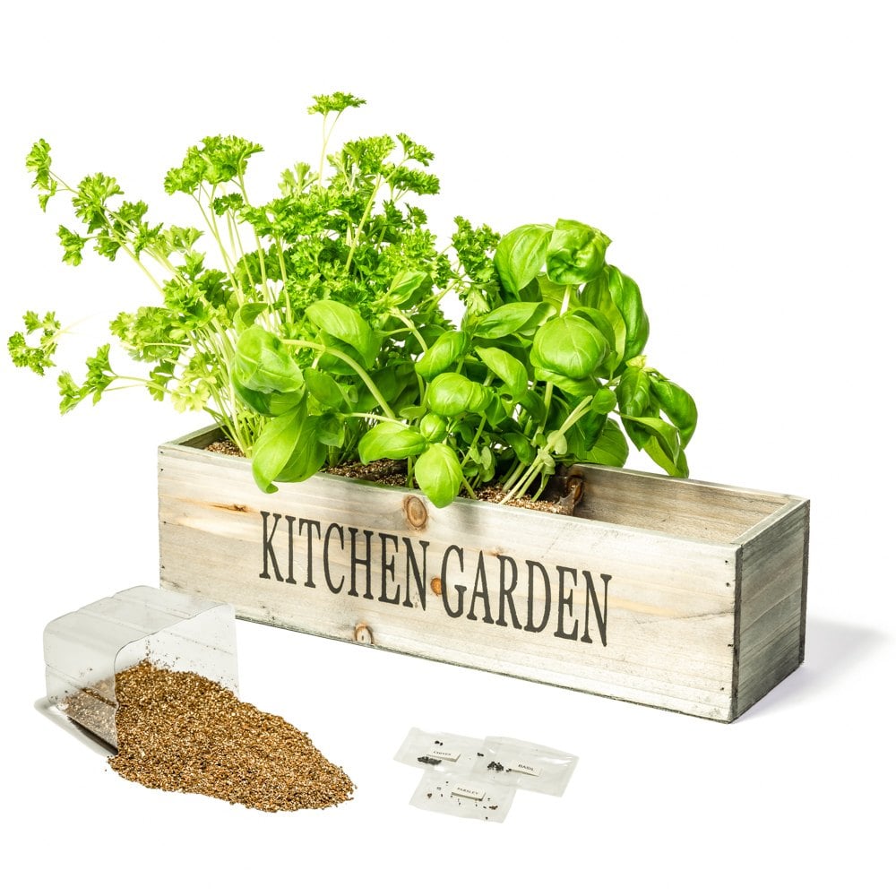Kitchen Herb Garden Windowsill Planter