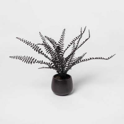 17" x 11" Artificial Black Fern Arrangement in Ceramic Pot Black
