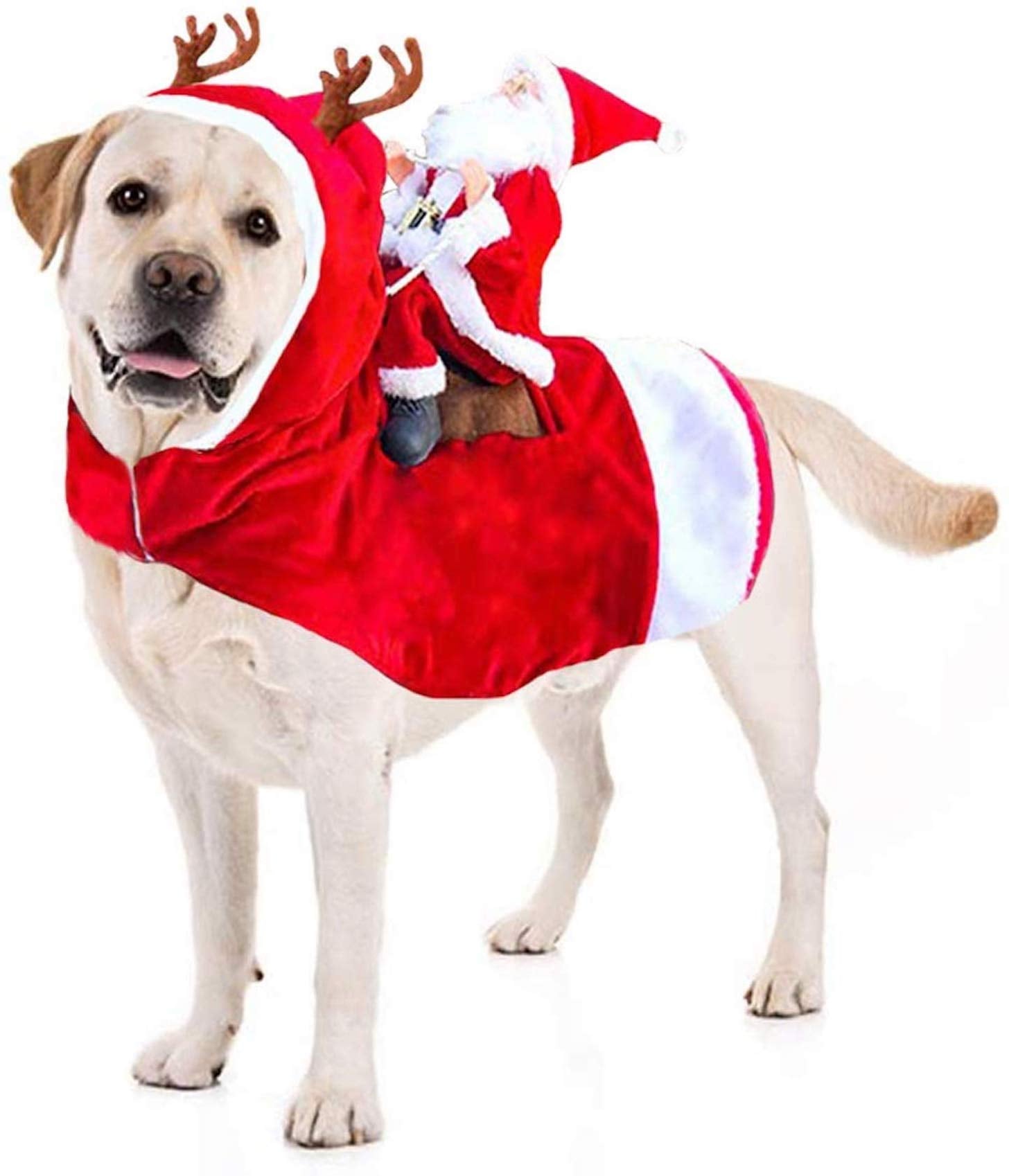 Amazon dog christmas outfits 2025
