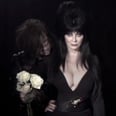 Ryan Adams Has Found Elvira and She Looks Really Good