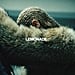 Best Albums of 2016