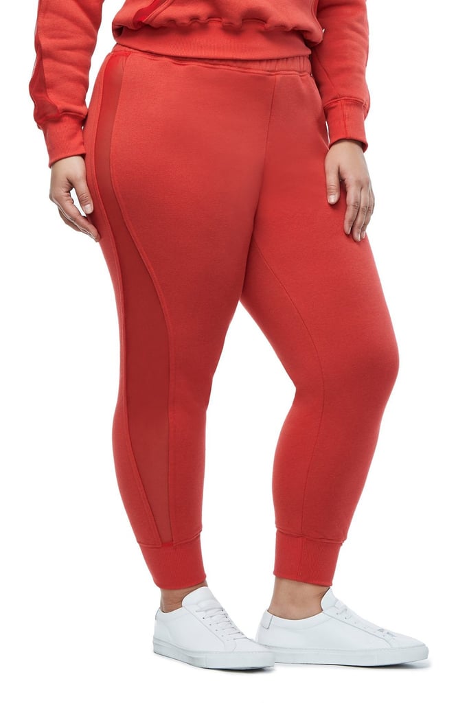 mesh sweatpants