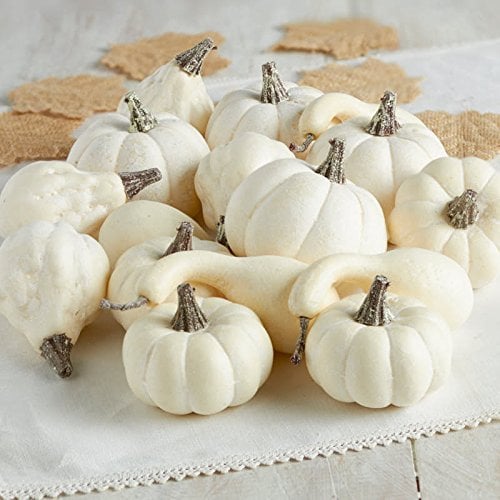 Assorted Pumpkins and Gourds