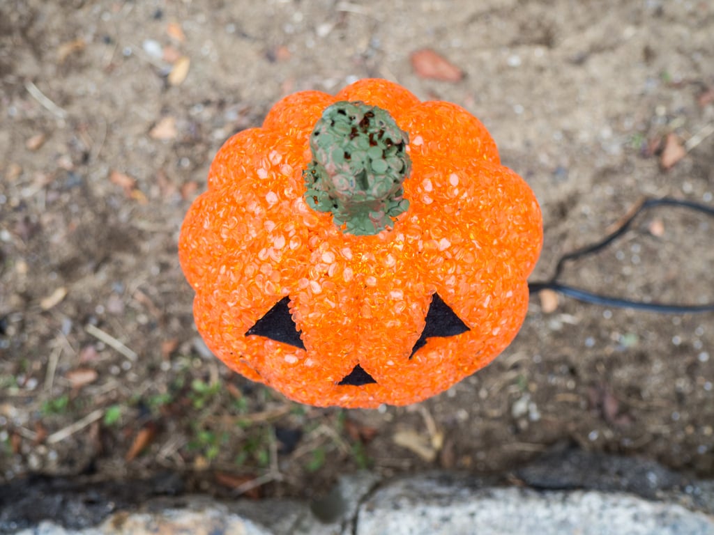 Jack-o'-lanterns light up the night.