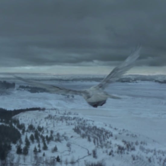 What Do White Ravens Mean on Game of Thrones?
