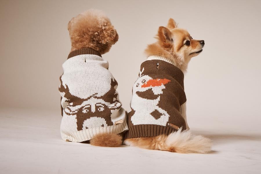 Best Dog Coats And Jackets 2020 Popsugar Pets
