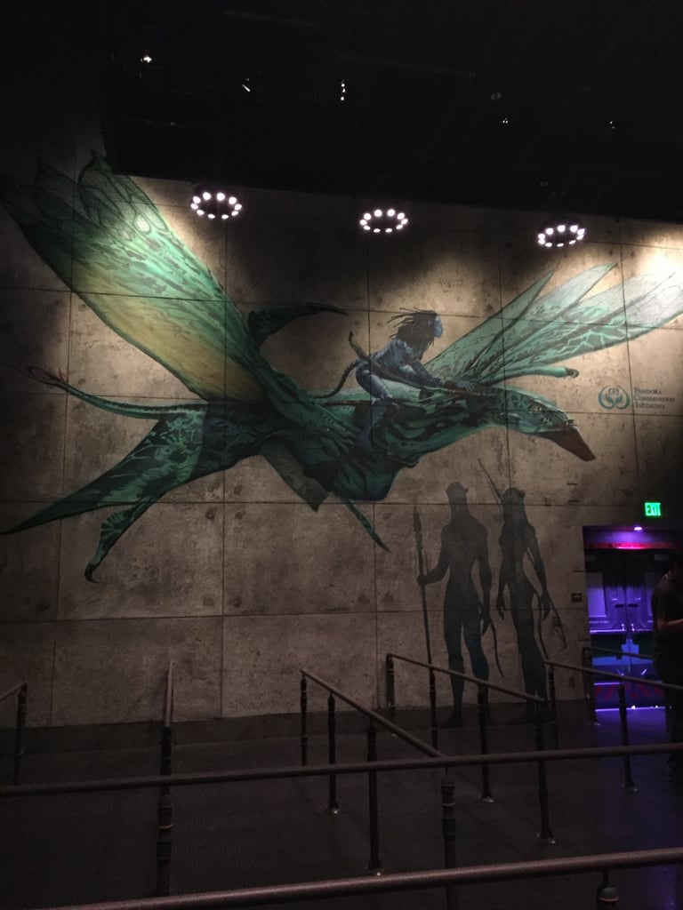 Can You Get FastPasses For Pandora World of Avatar?