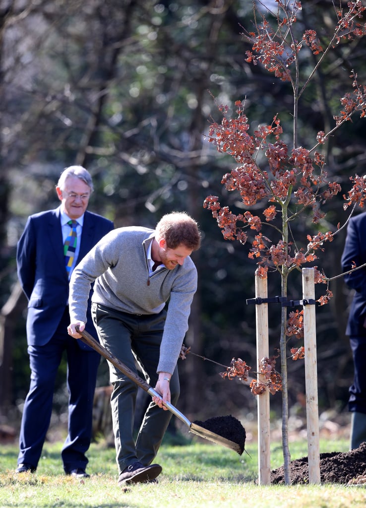 Prince Harry in Epping Forest Photos March 2017