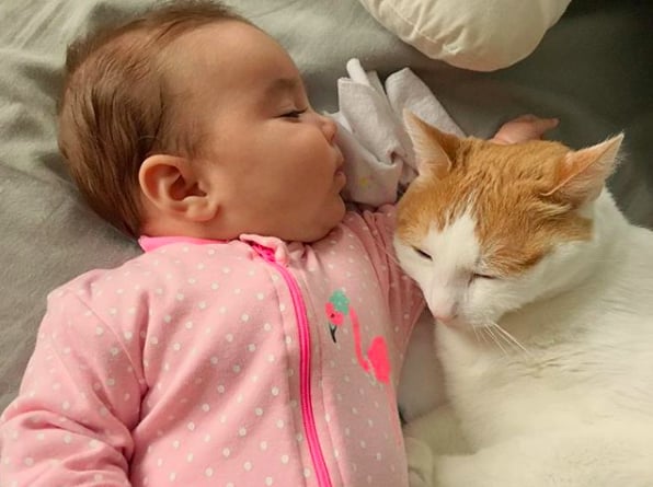 We are seriously swooning over this baby snuggle . . .