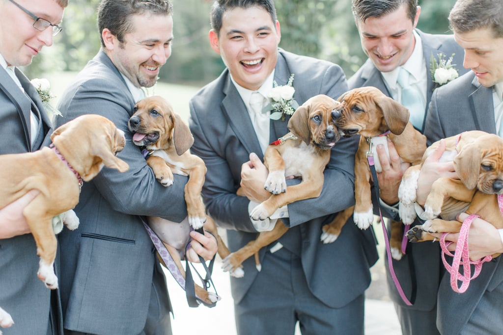 Bride Uses Puppies in Wedding Photos