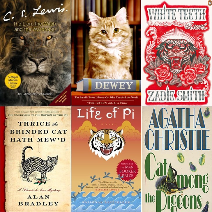A Book With A Cat On The Cover Are You Taking The 2017 Reading