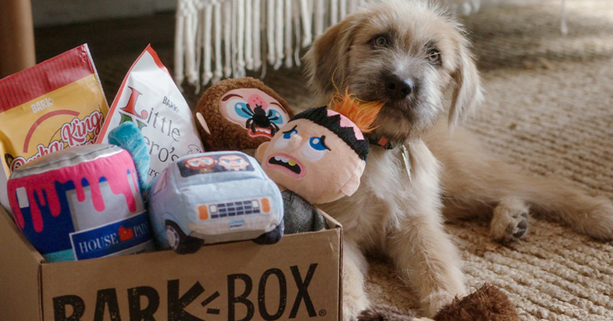 GOODY BOX Halloween Dog Toys & Treats, Small/Medium 