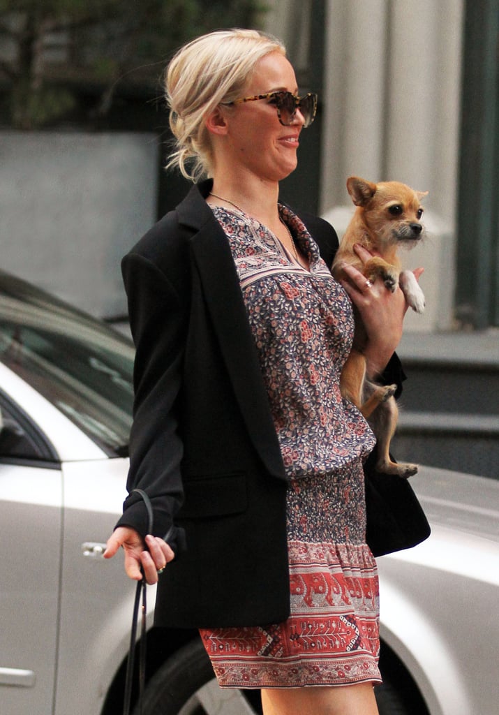 Jennifer Lawrence Out With Her Dog in NYC April 2016