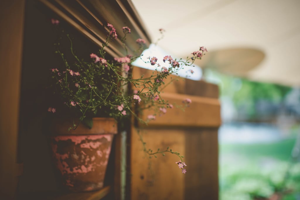 Garden Wedding