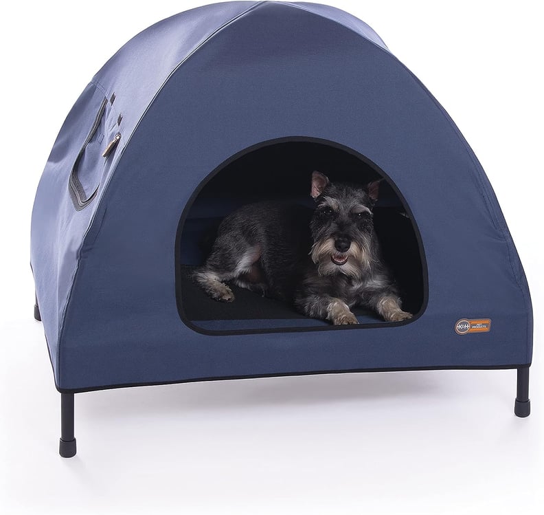 Best Elevated Dog House