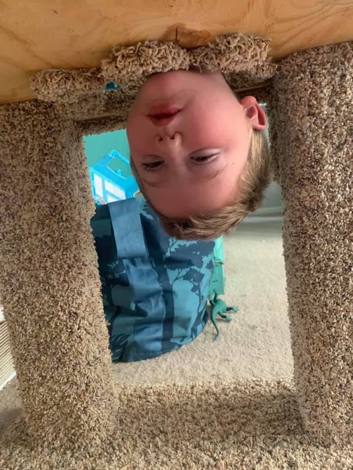 Boy Who Got His Head Stuck in a Cat Tree | Funny Photos