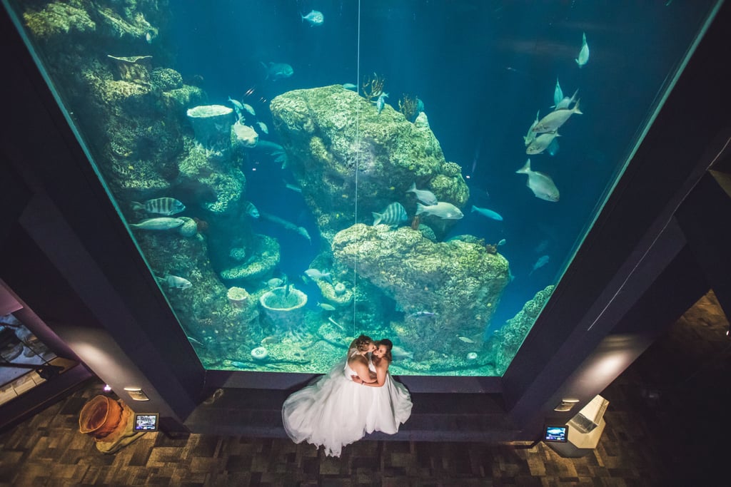 Aquarium Wedding Ideas POPSUGAR Love & Sex Photo 33