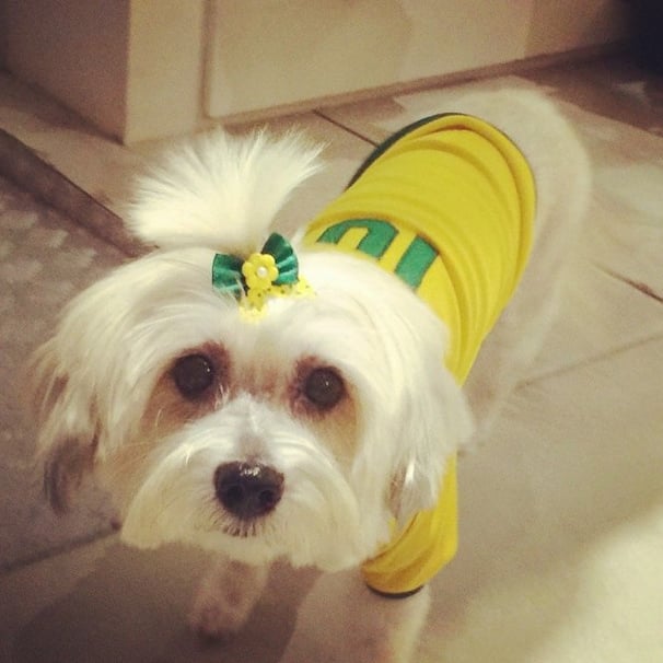 Being a Brazil fan has never looked so cute. We want to know where to get her hair bow. 
Source: Instagram user
lisiaesteves