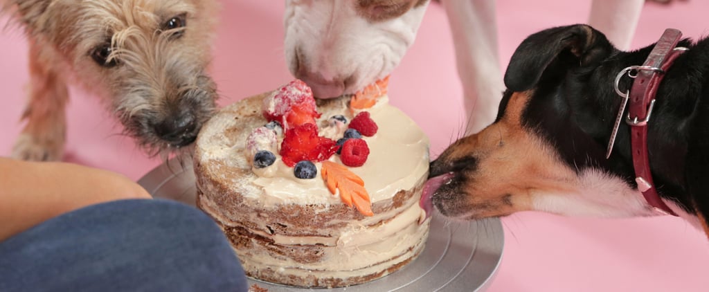 Dog-Friendly Layer Cake