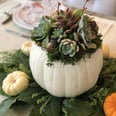 This Is Your Sign to DIY a Succulent Pumpkin For Fall