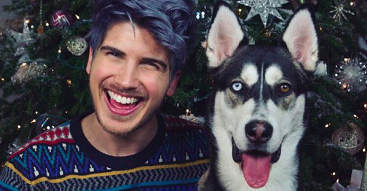 Joey Graceffa's Dog, Wolf PS Pets