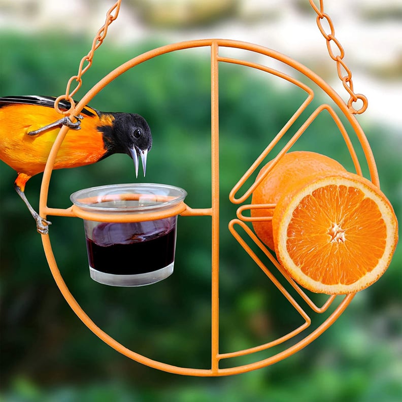 A Bright Bird Feeder: Heath Outdoor Products Clementine Oriole Feeder