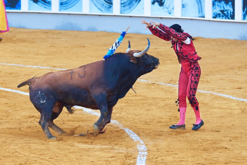 Bulls get angry at the sight of red.