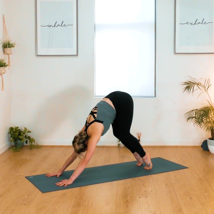 Downward-Facing Dog Pose and Walk To the Top Of the Mat ...