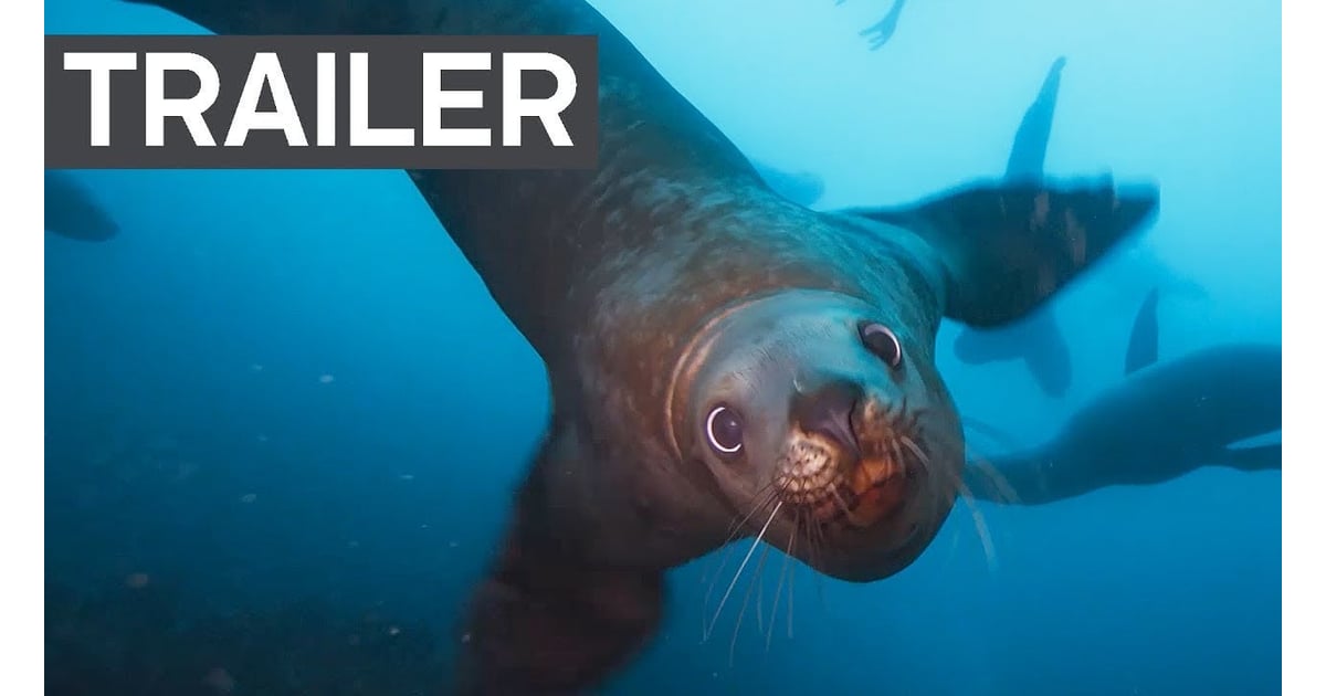 blue planet ii netflix