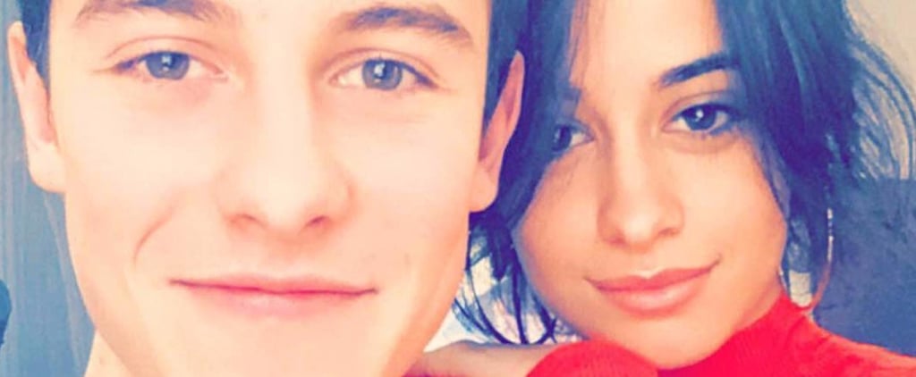 Camila Cabello and Shawn Mendes Instagram February 2017